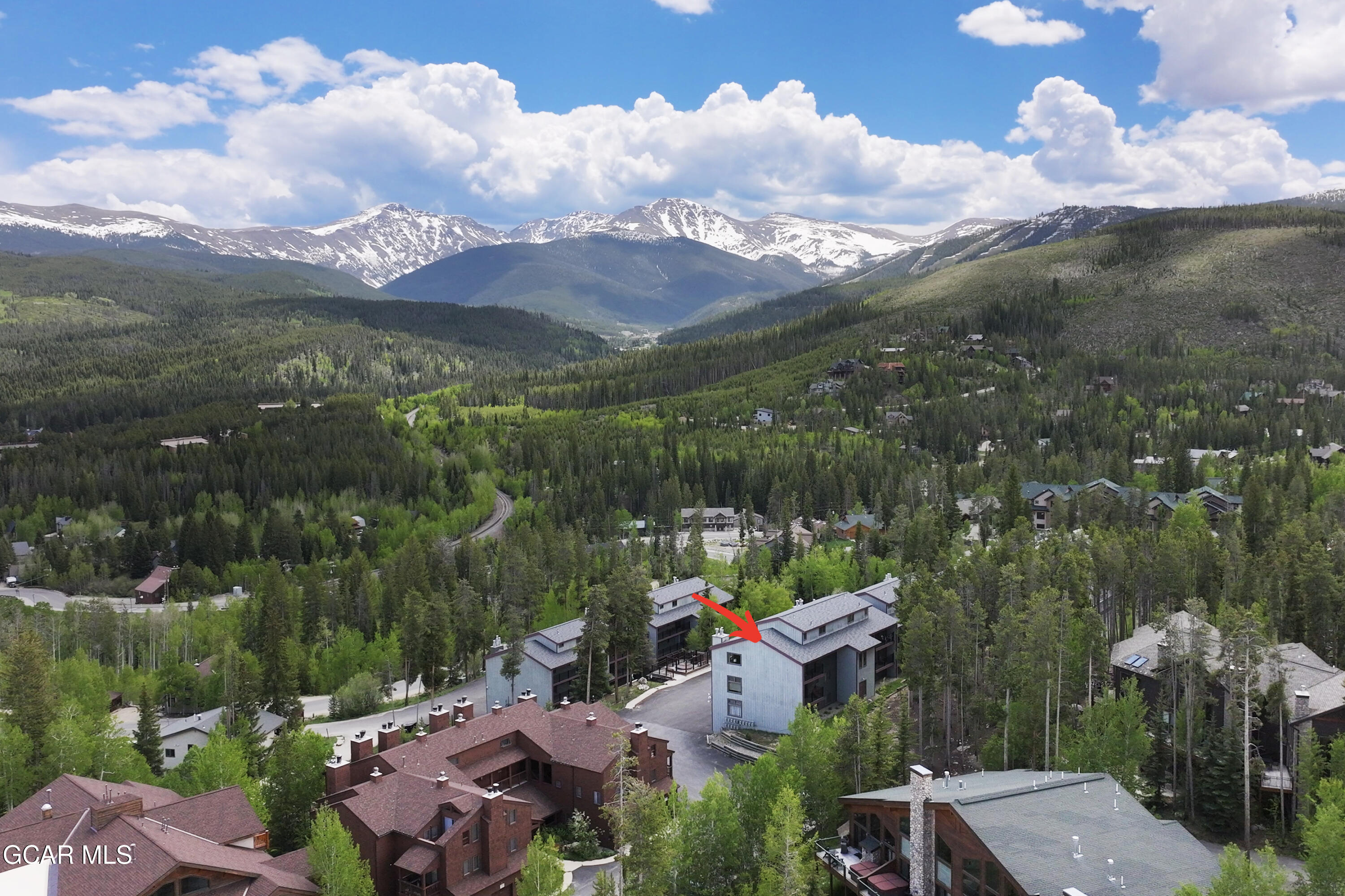 141 Forest Trail #16