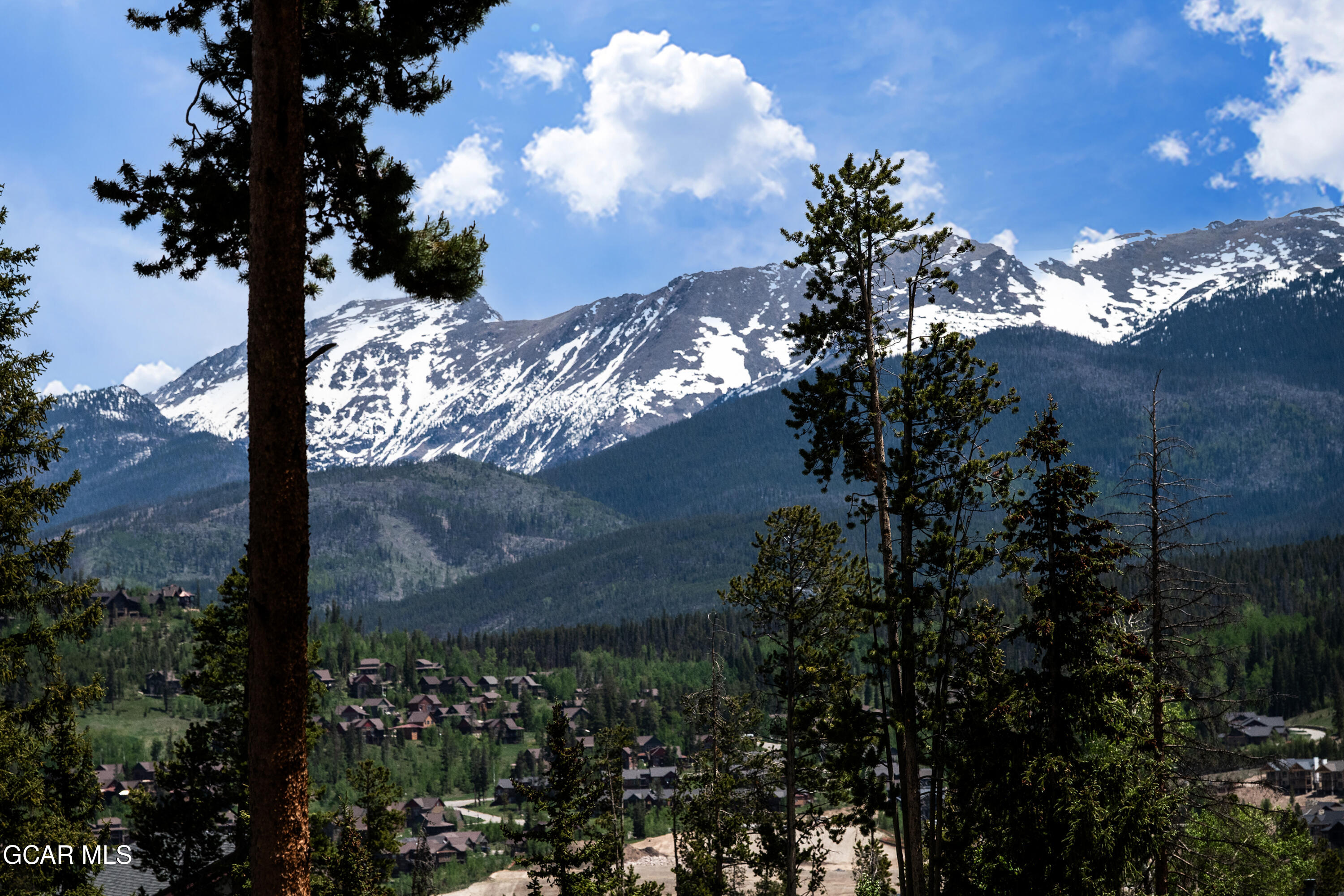 141 Forest Trail #16