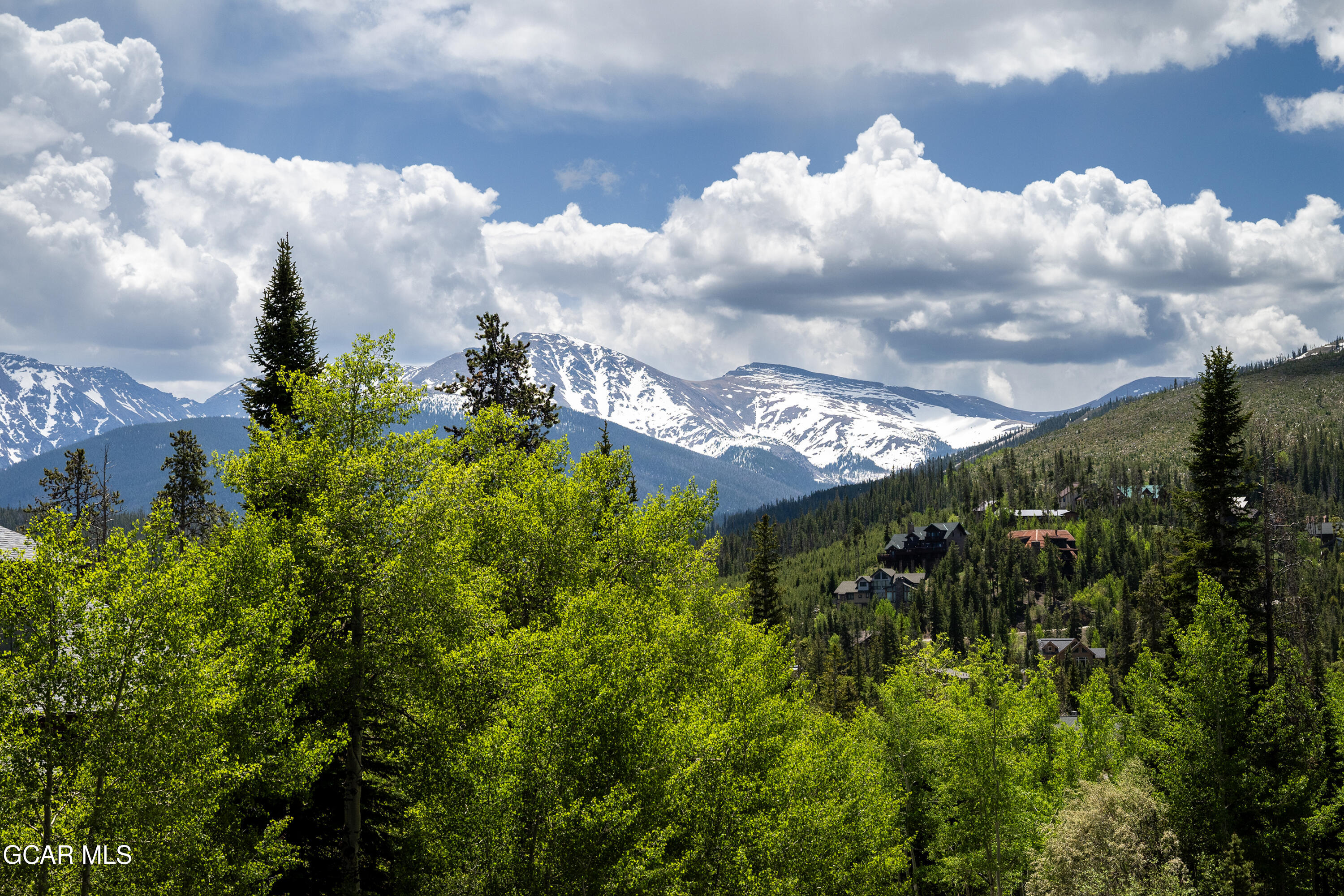 141 Forest Trail #16