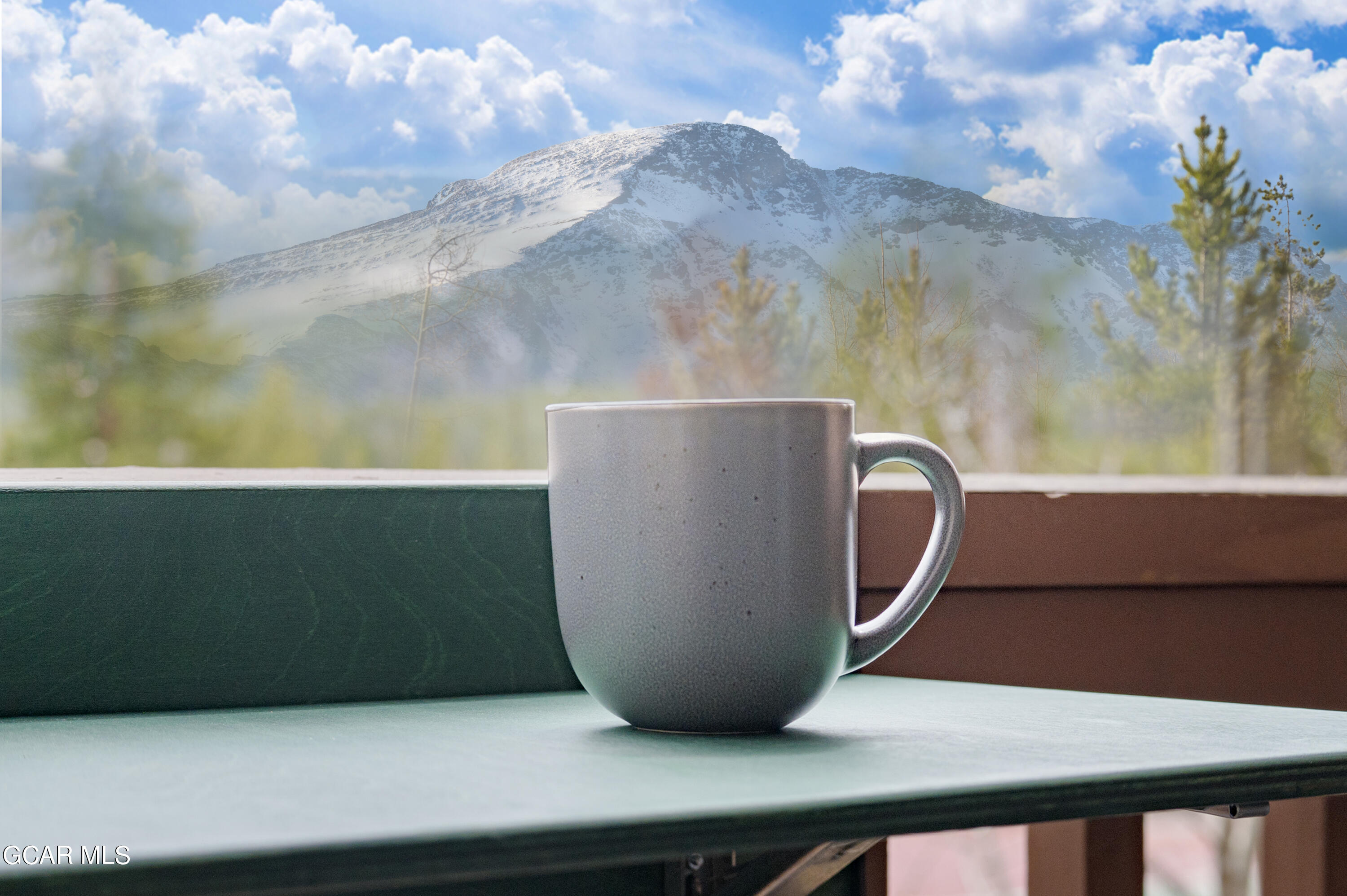 145 Forest Trail #5
