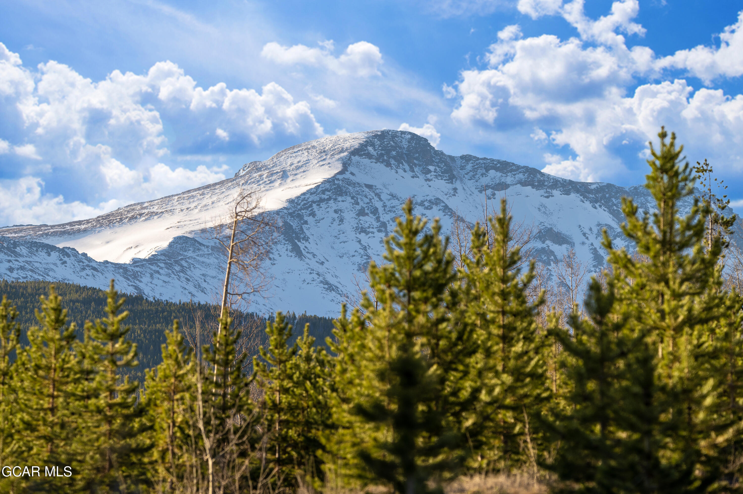 145 Forest Trail #5