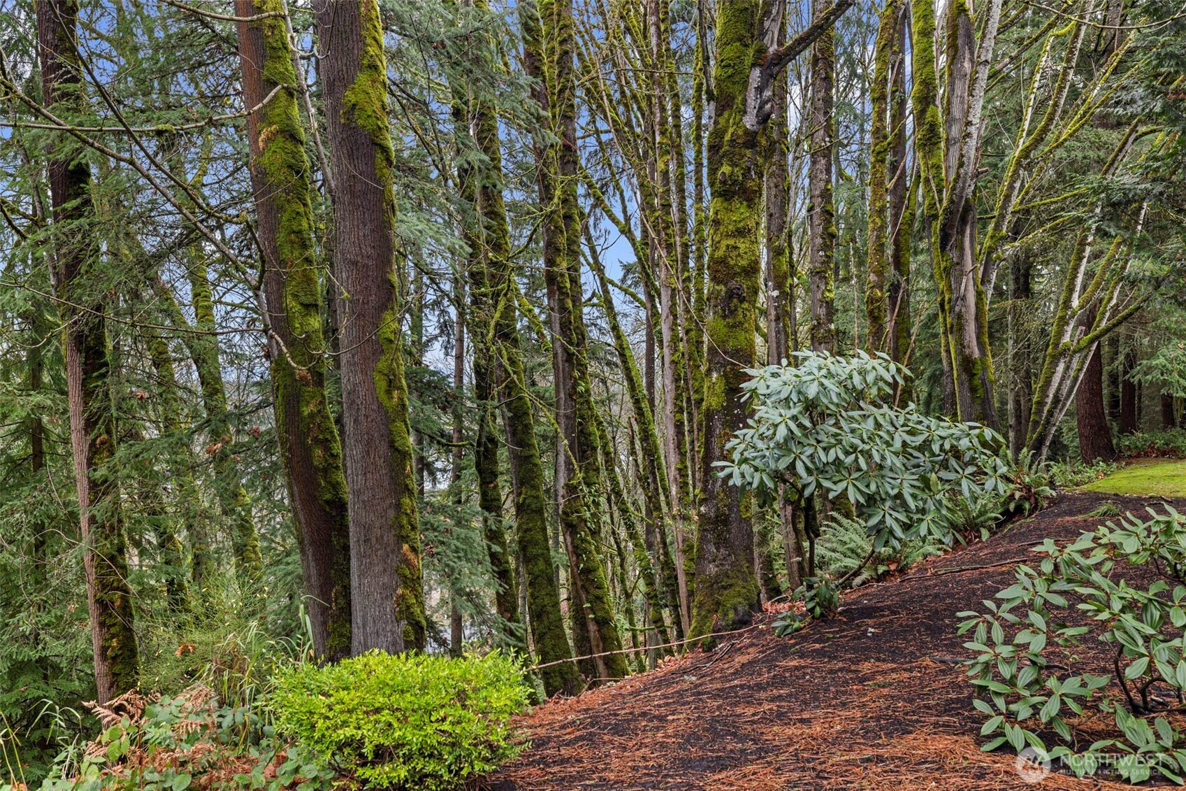 5000 NW Village Park Drive Unit: F132