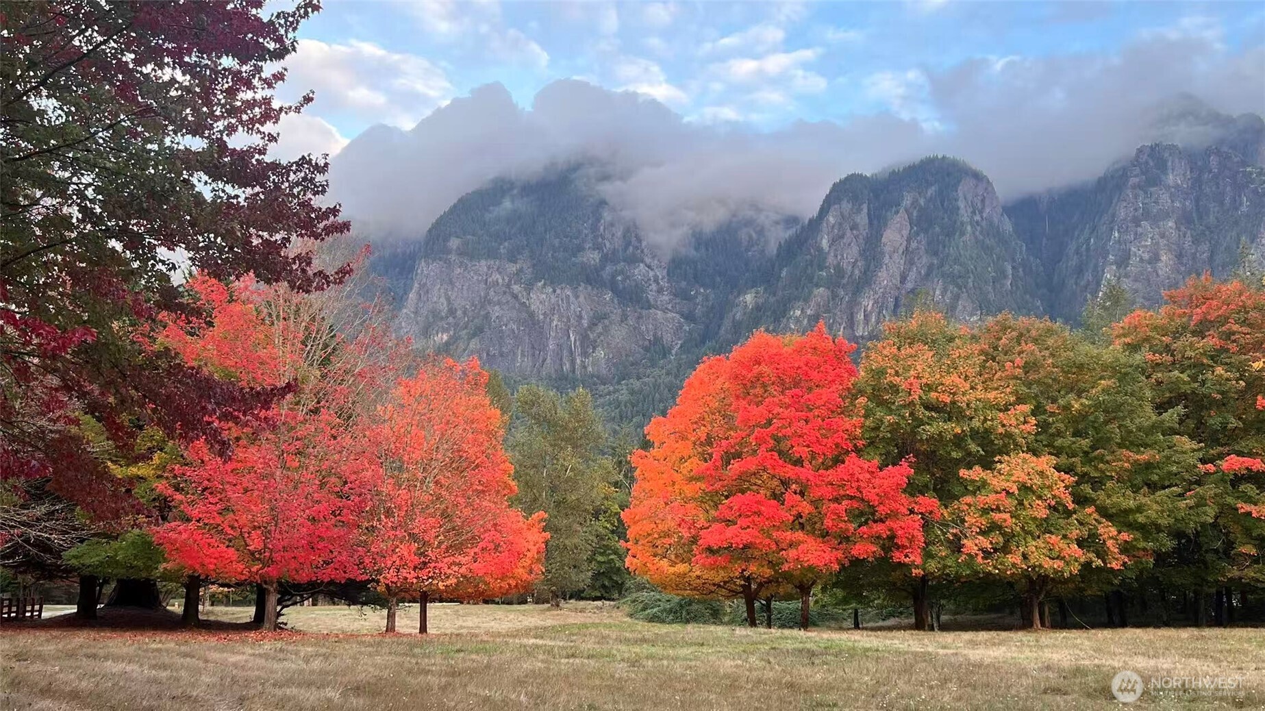 8100 428th Avenue SE