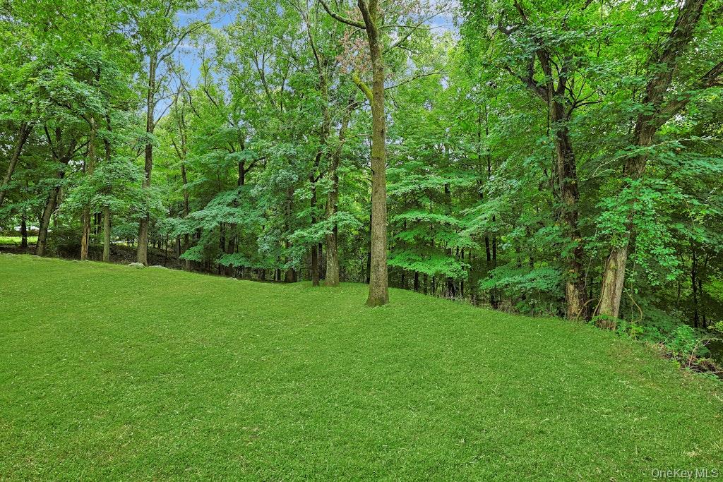 Sloping green lawn bordered by dense mature trees.