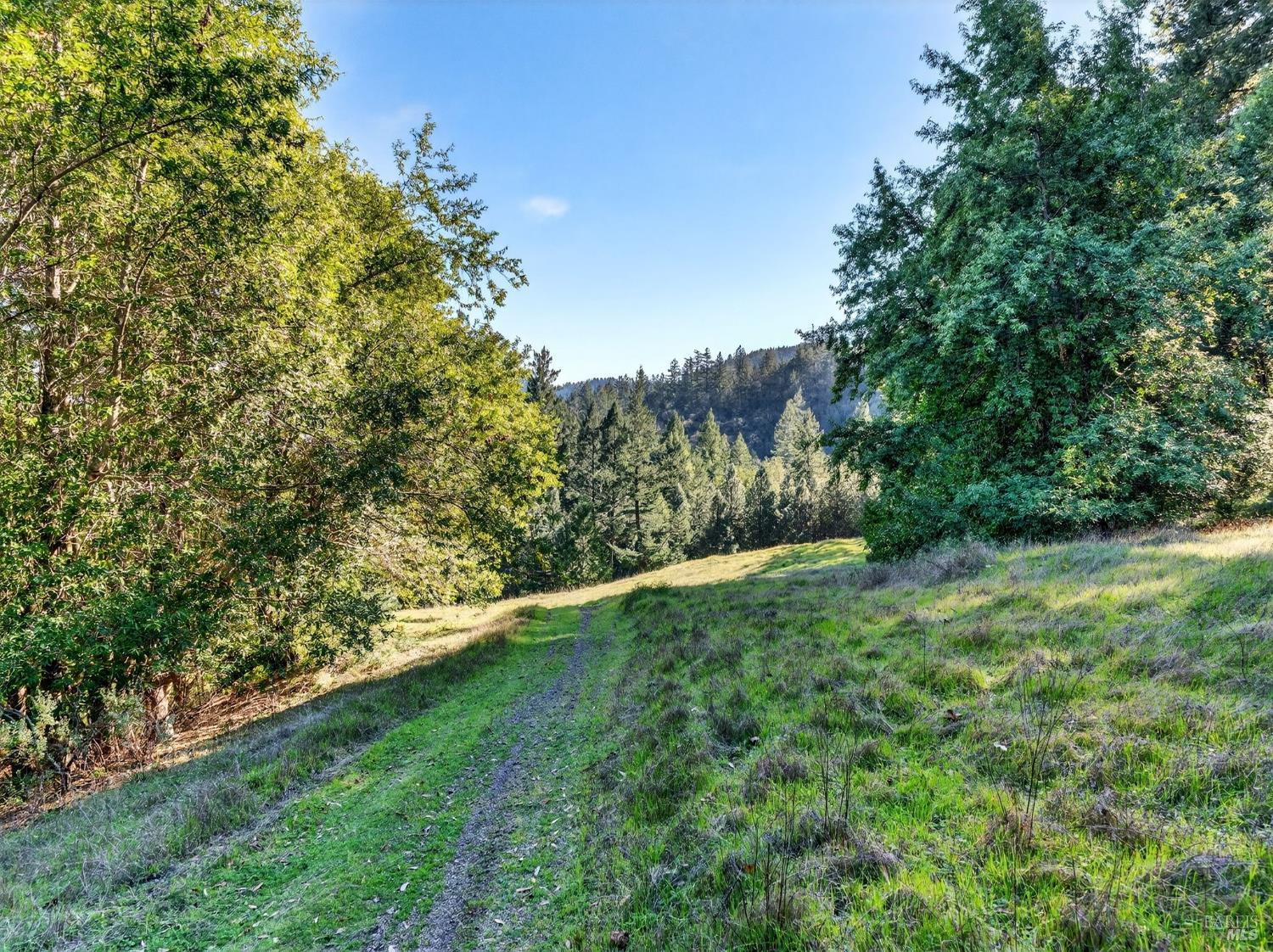 15785 Pole Mountain Road