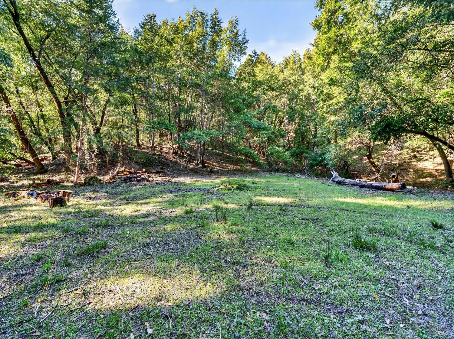 15785 Pole Mountain Road