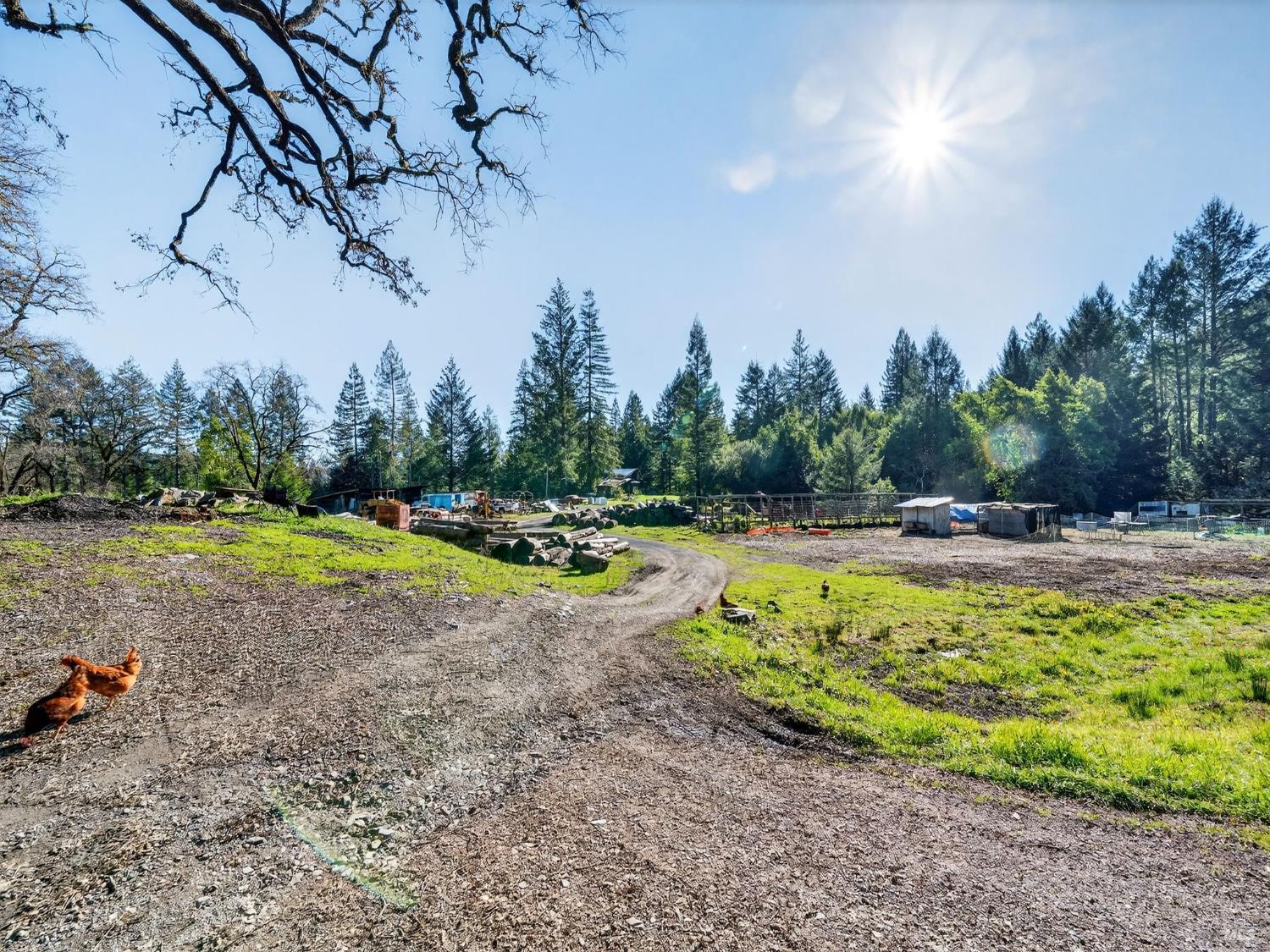 15785 Pole Mountain Road