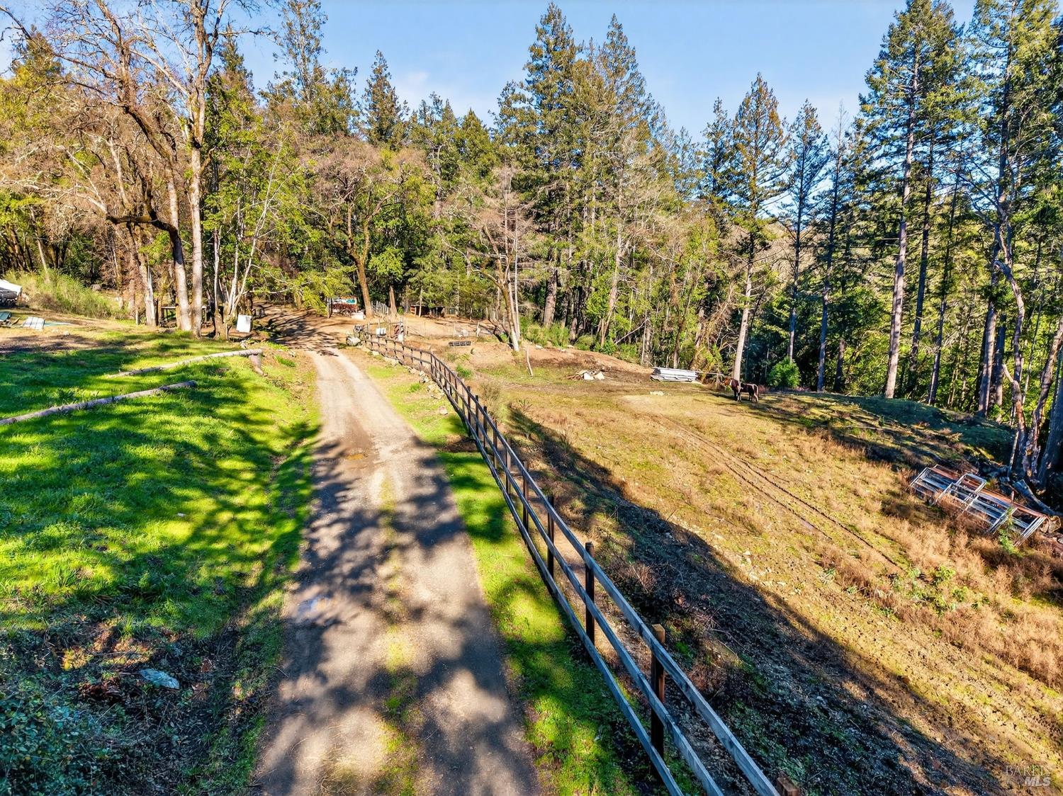 15785 Pole Mountain Road