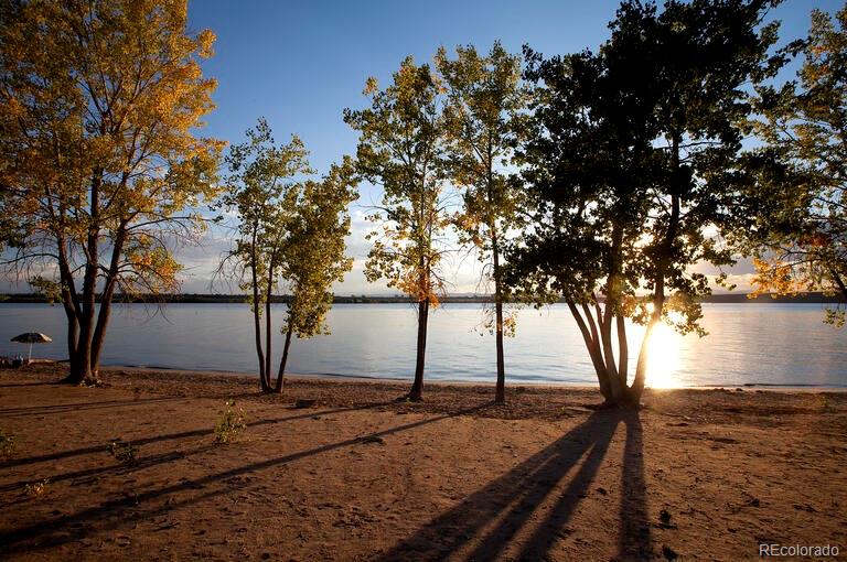 Calm lake behind autumn trees, with low golden sunlight casting long shadows across the shore.