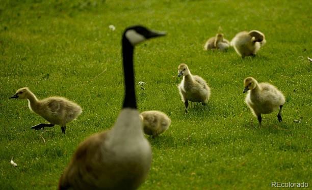 400 S Lafayette Street Unit: 1206