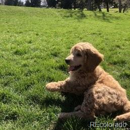 601 W 11th Avenue Unit: 604