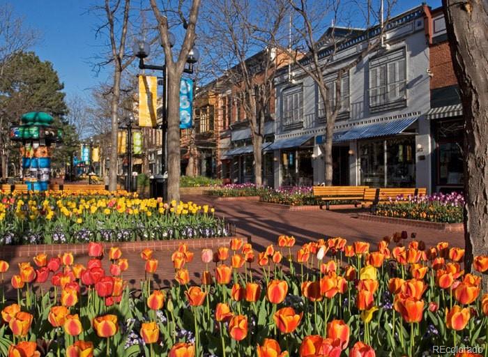 3693 Silverton Street