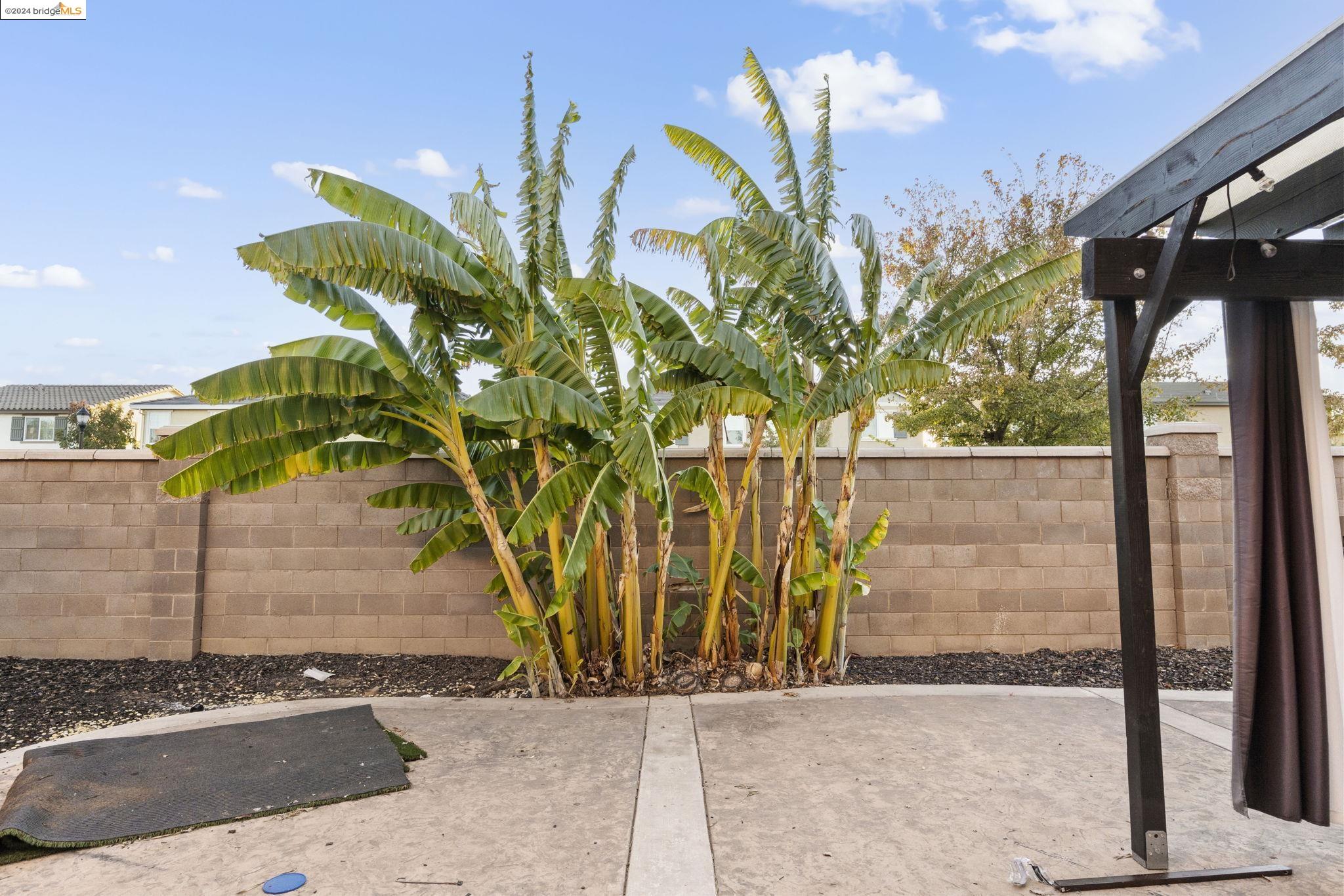 12 Minaret Rd