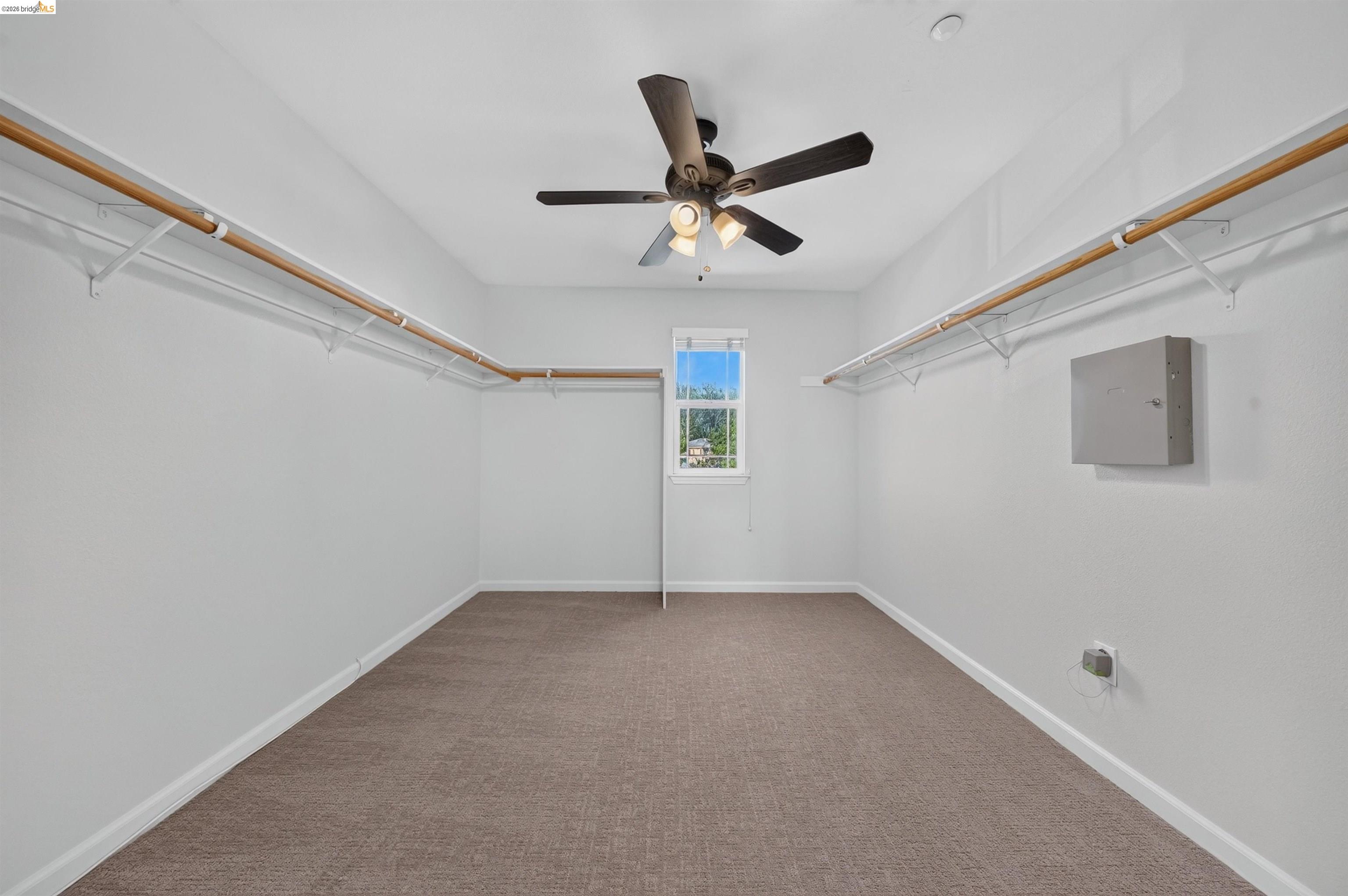 Walk-in closet with carpet, wraparound shelving, a ceiling fan, and a small window.