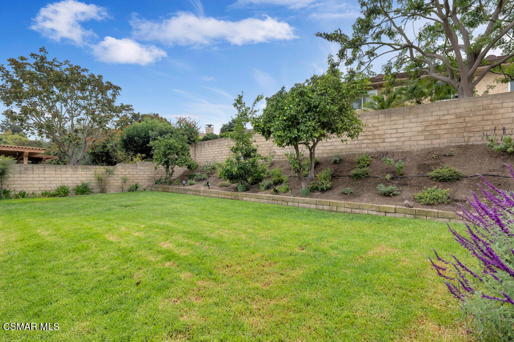 3810 Calle Clara Vista