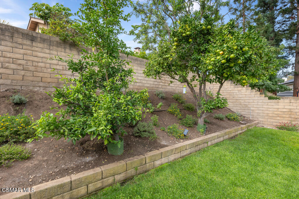 3810 Calle Clara Vista