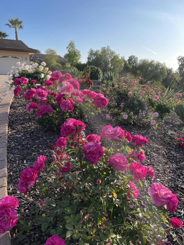 1361 La Riata Lane