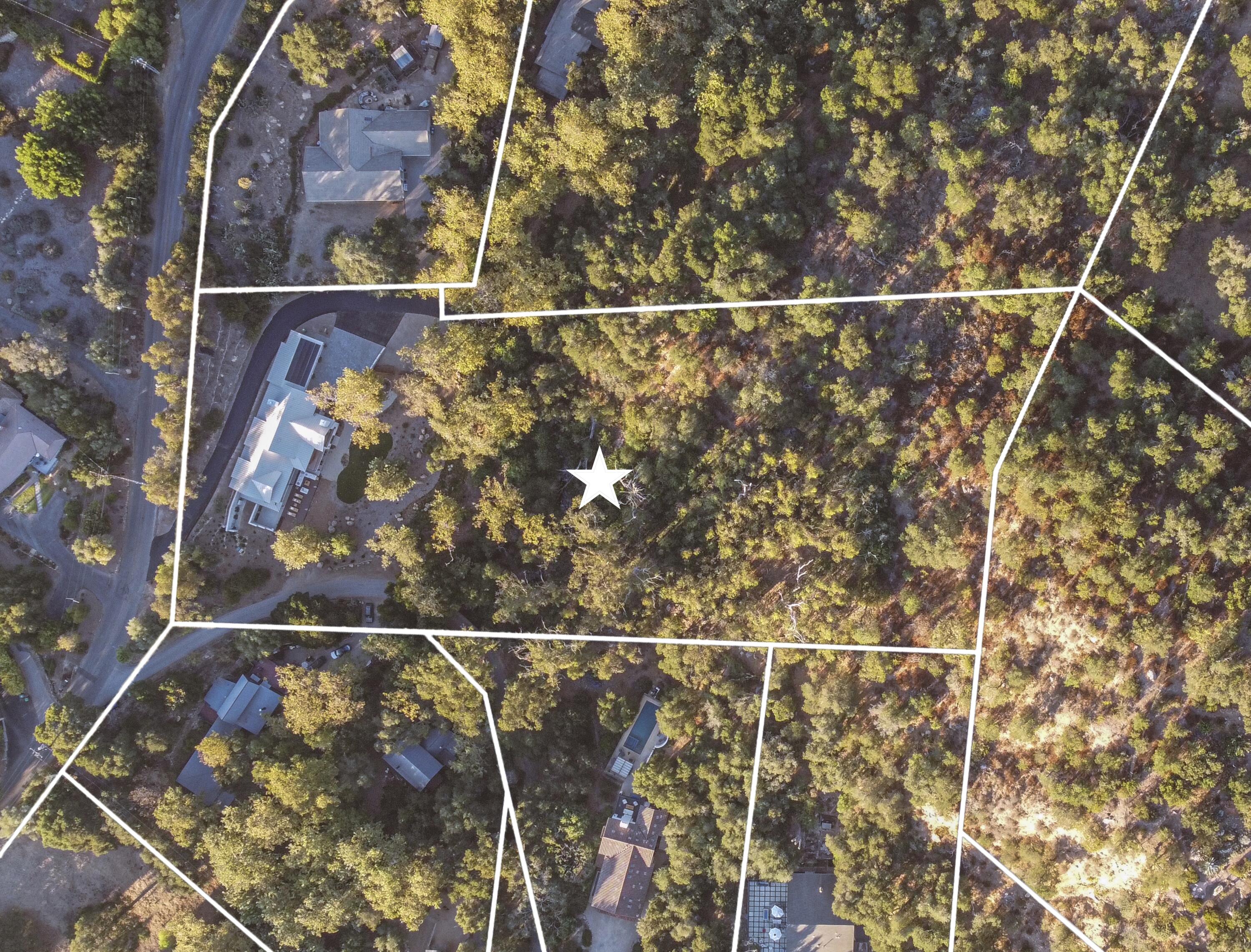 Aerial view of a wooded property marked by boundary lines, with a home and pool nearby.