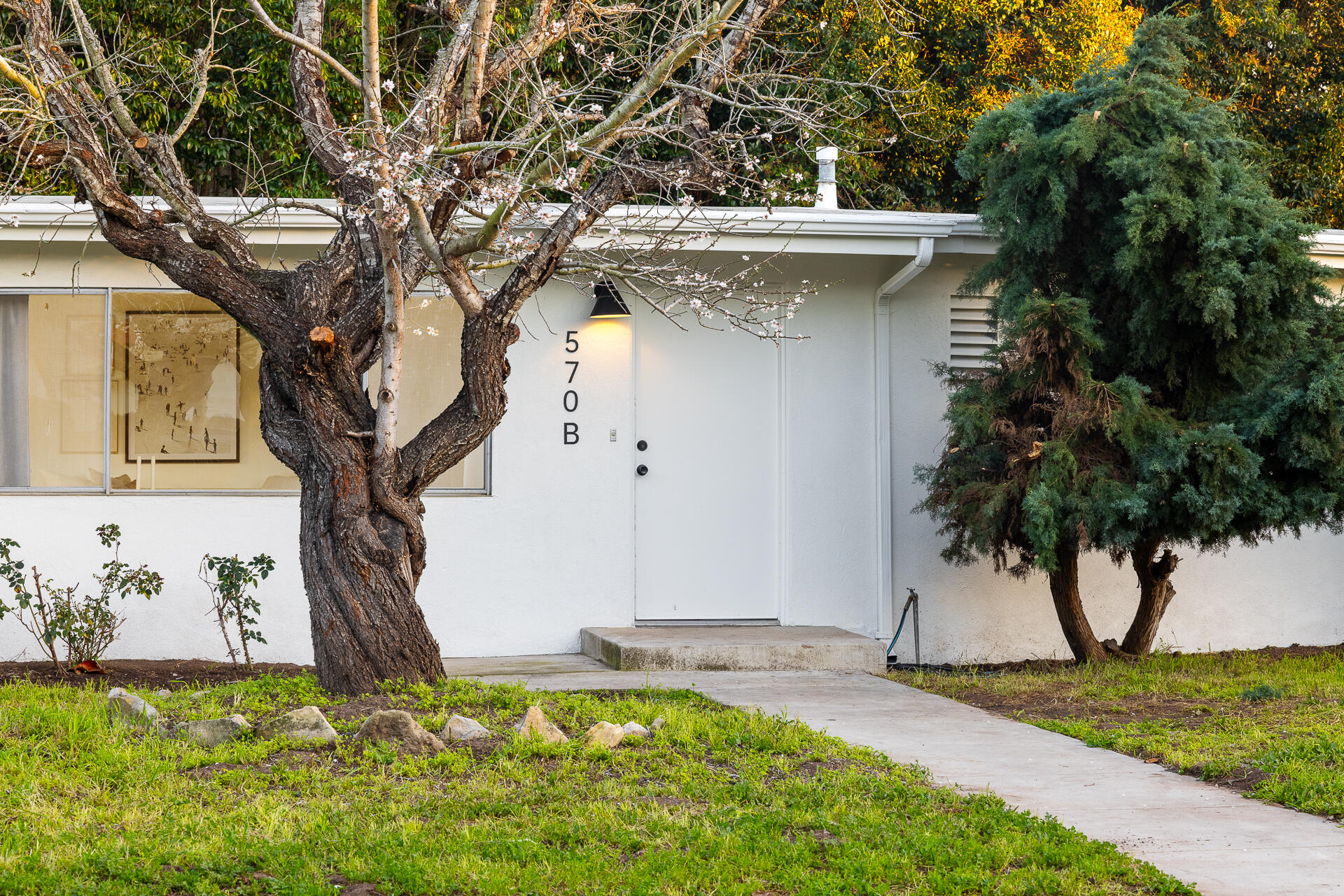 570 Apple Grove Lane