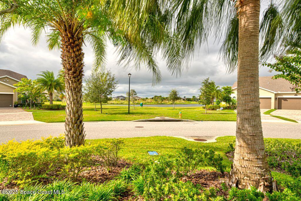 8163 Loren Cove Drive