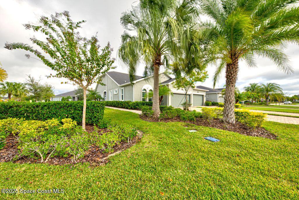 8163 Loren Cove Drive