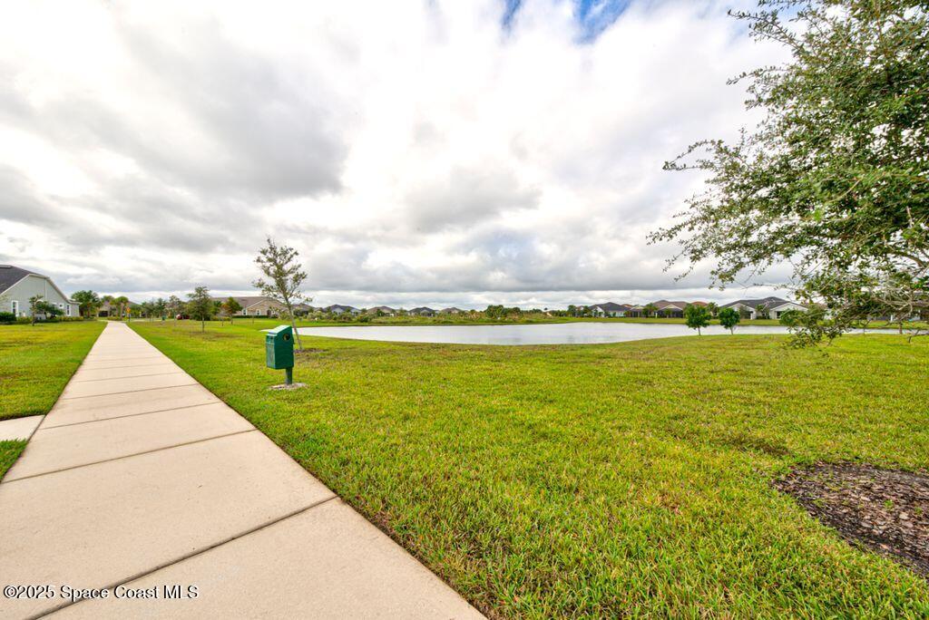 8163 Loren Cove Drive