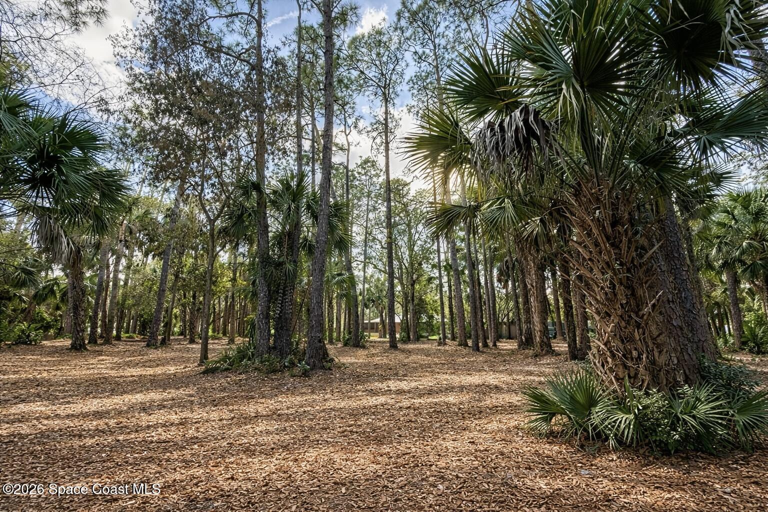 3975 Corey Road