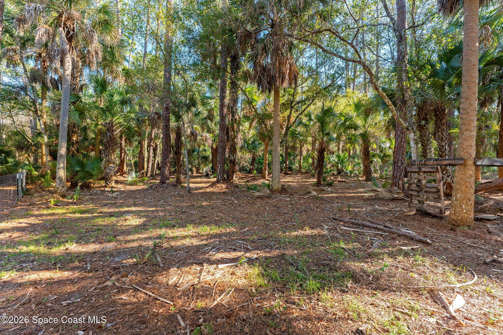 3975 Corey Road