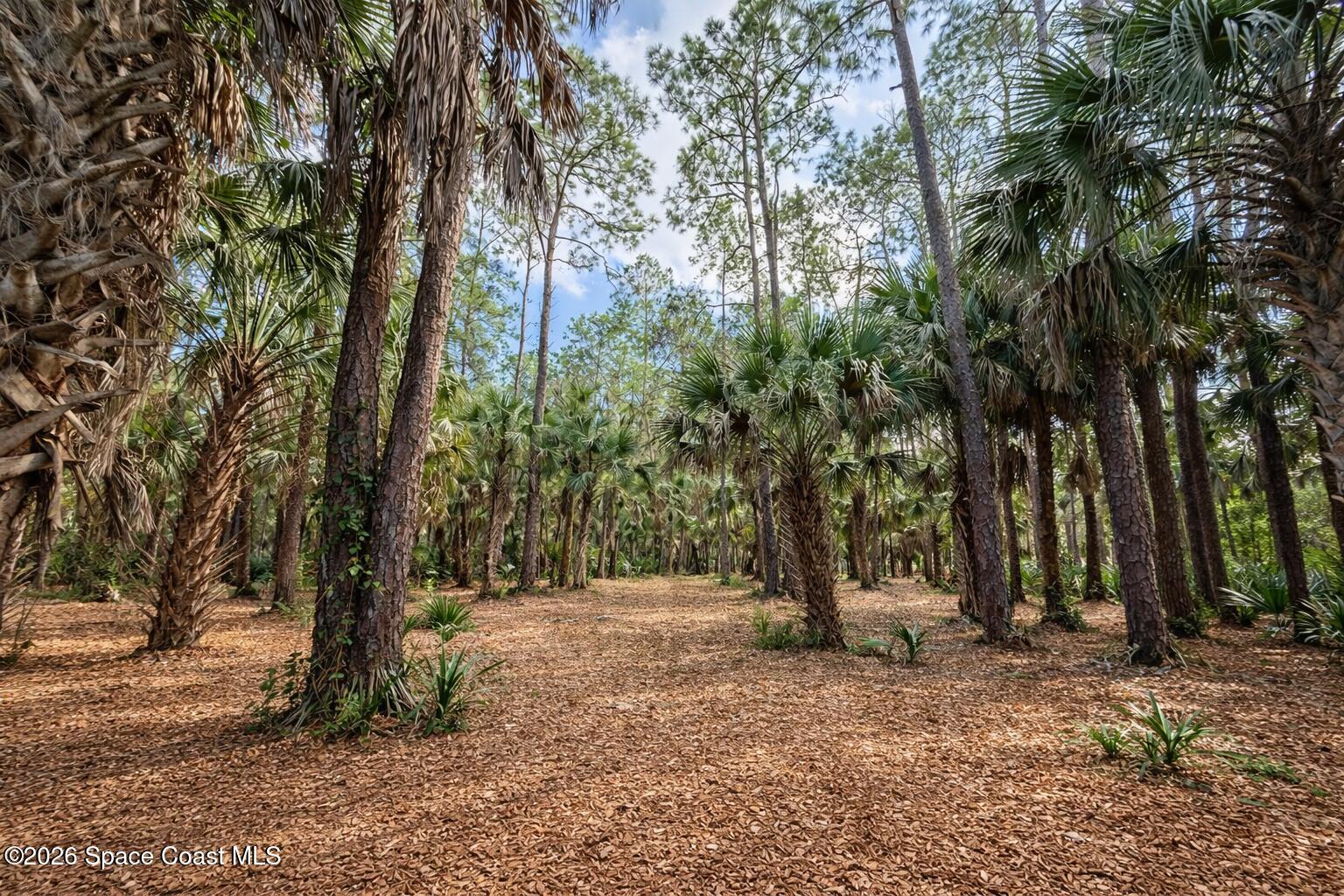 3975 Corey Road