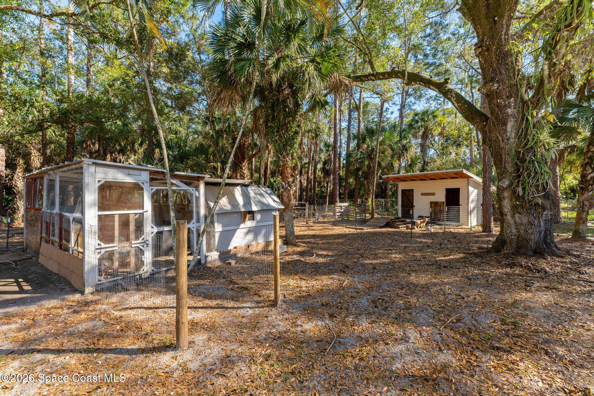 3975 Corey Road