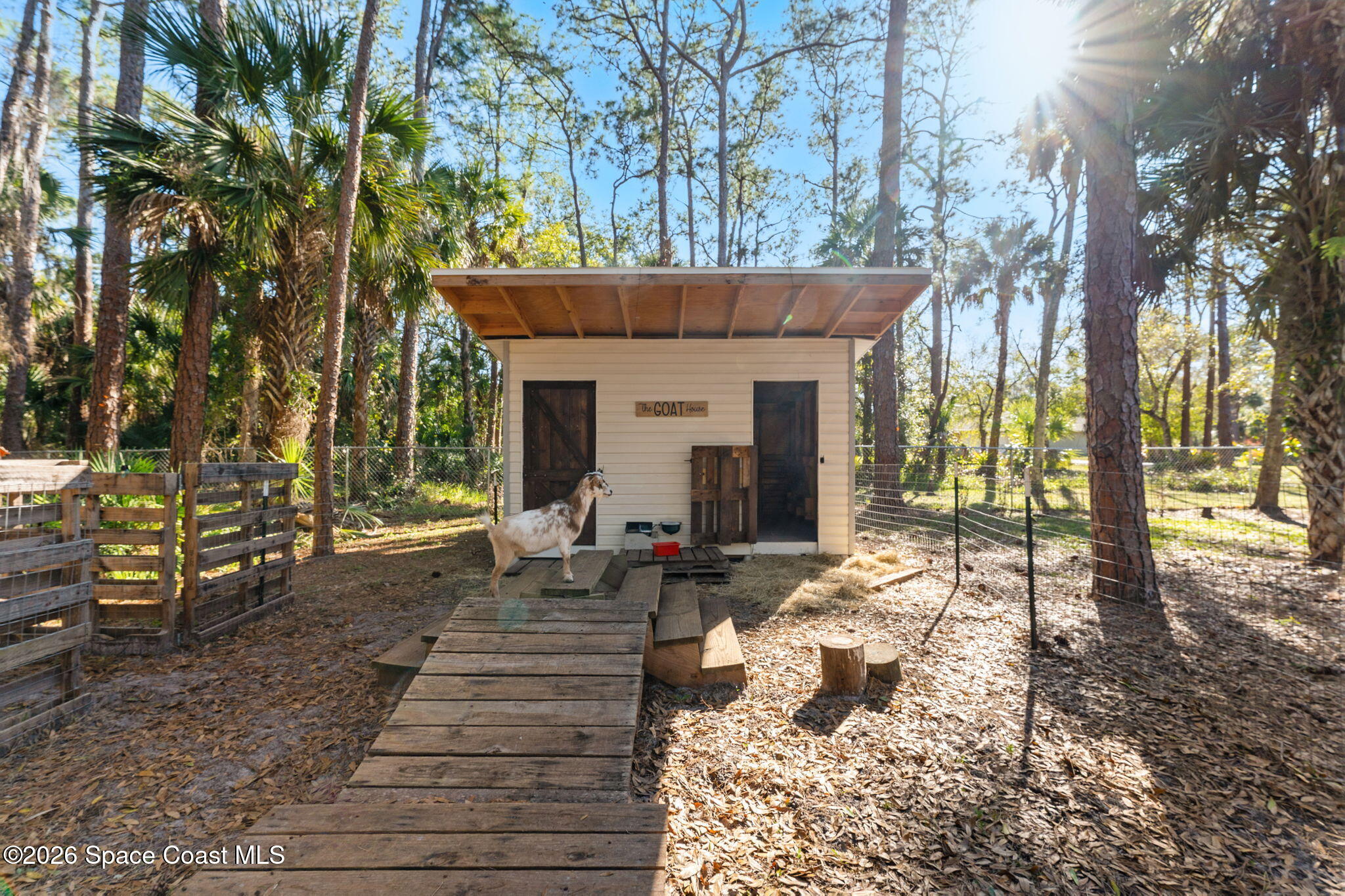 3975 Corey Road