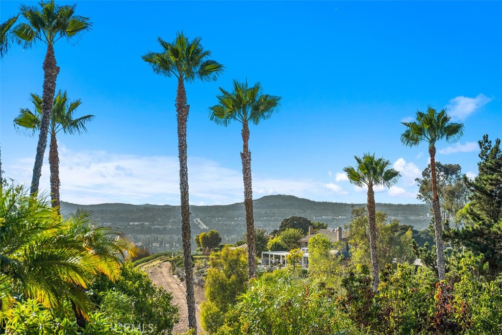 27101 Shenandoah Drive