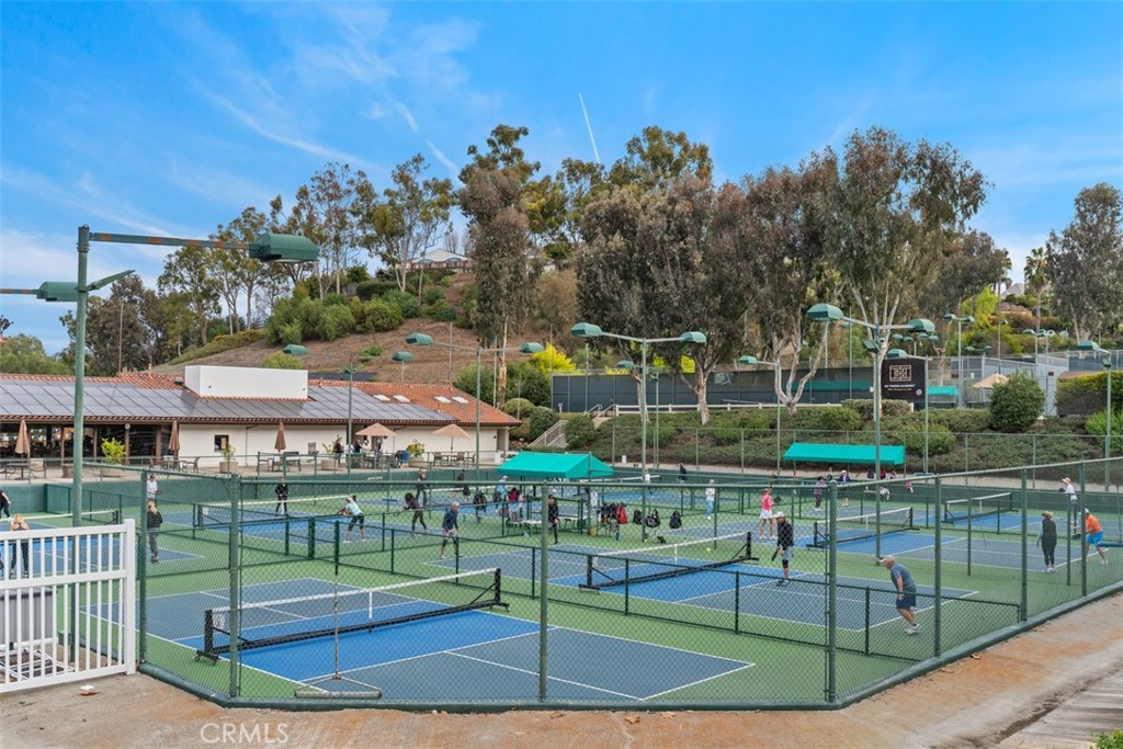 27215 Stagewood Court