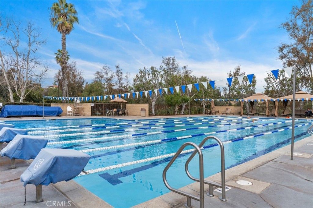 27215 Stagewood Court