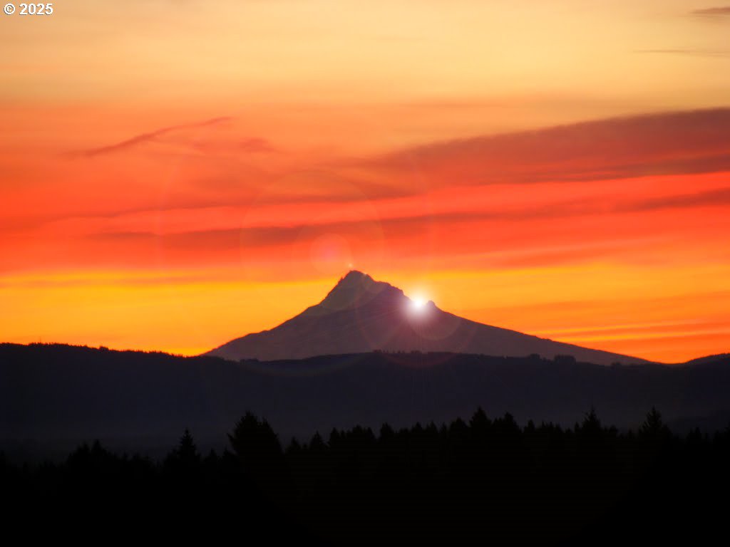 1414 SW 3RD AVE 2902