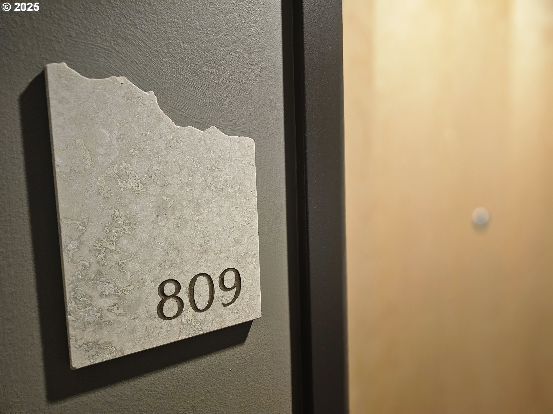 1221 SW 10TH AVE 809