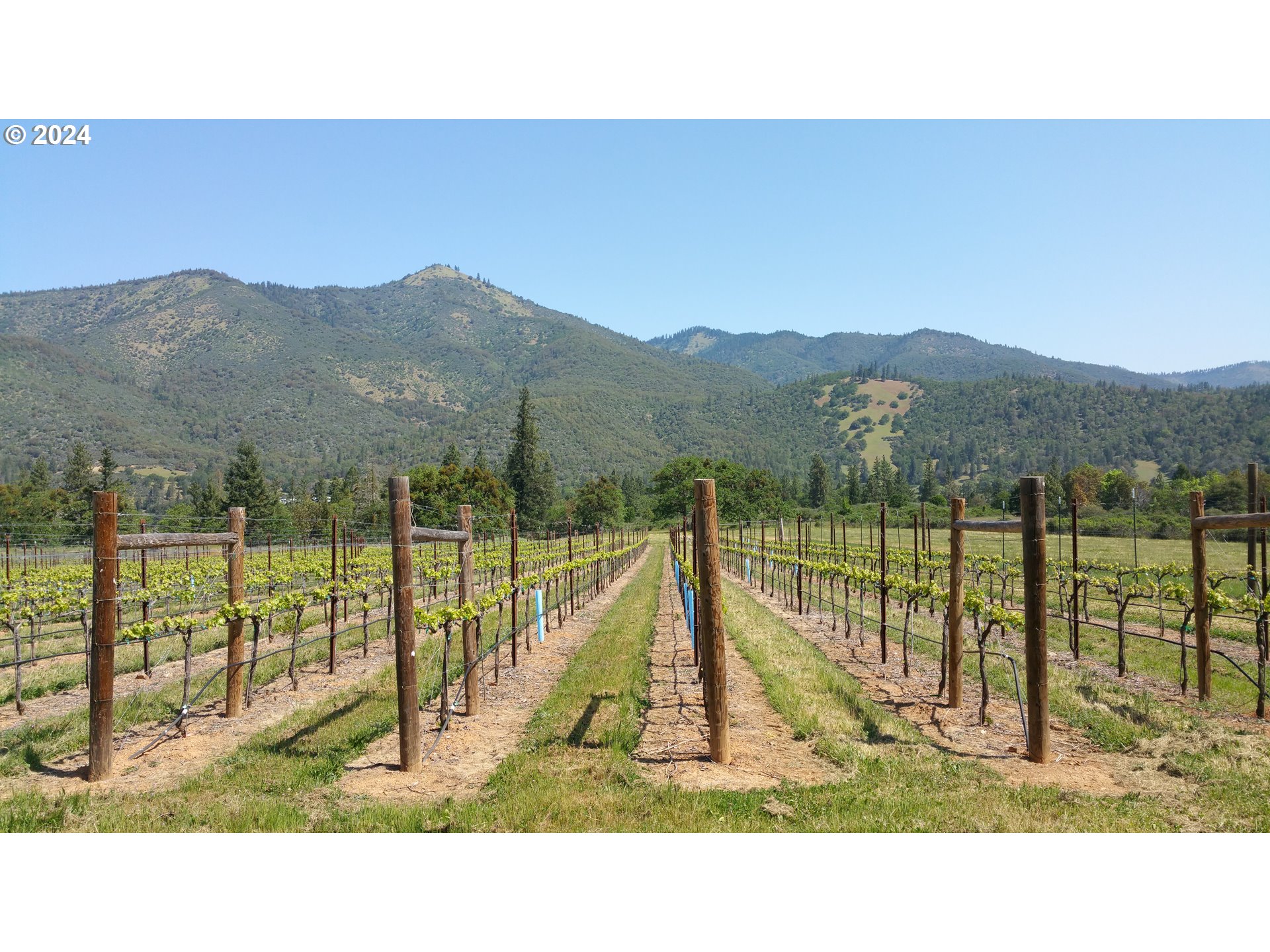 11777 Highway 238
