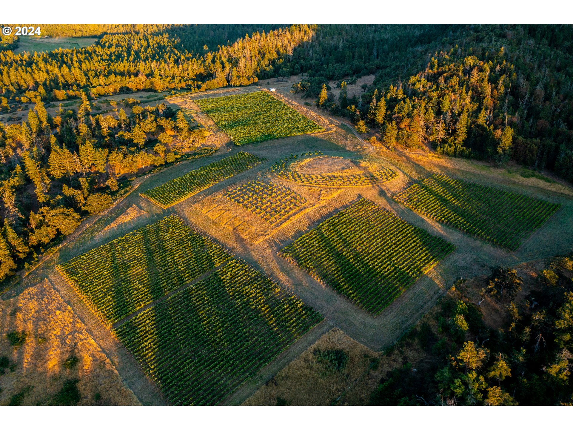 11777 Highway 238
