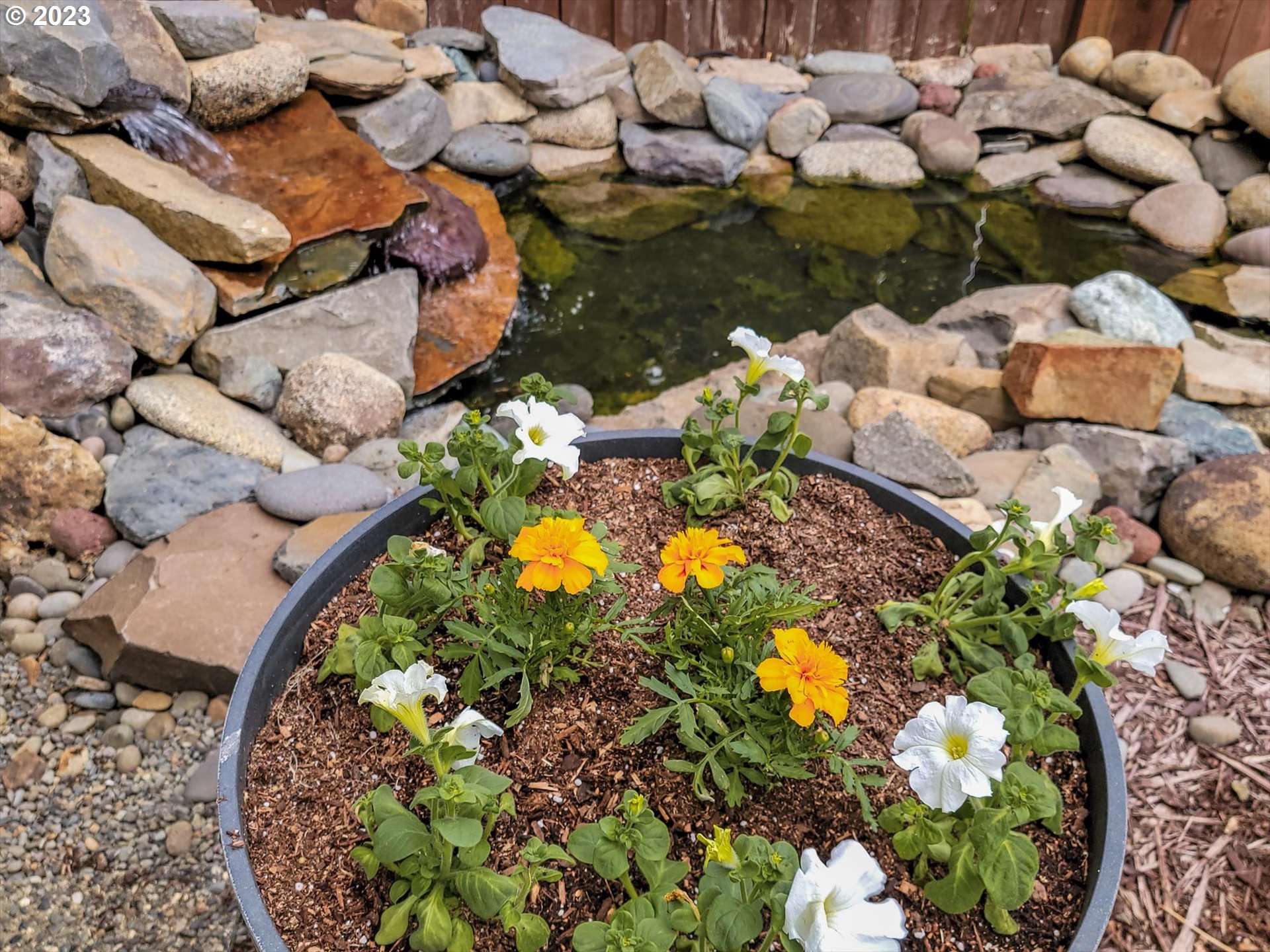 19805 CHERRYWOOD WAY