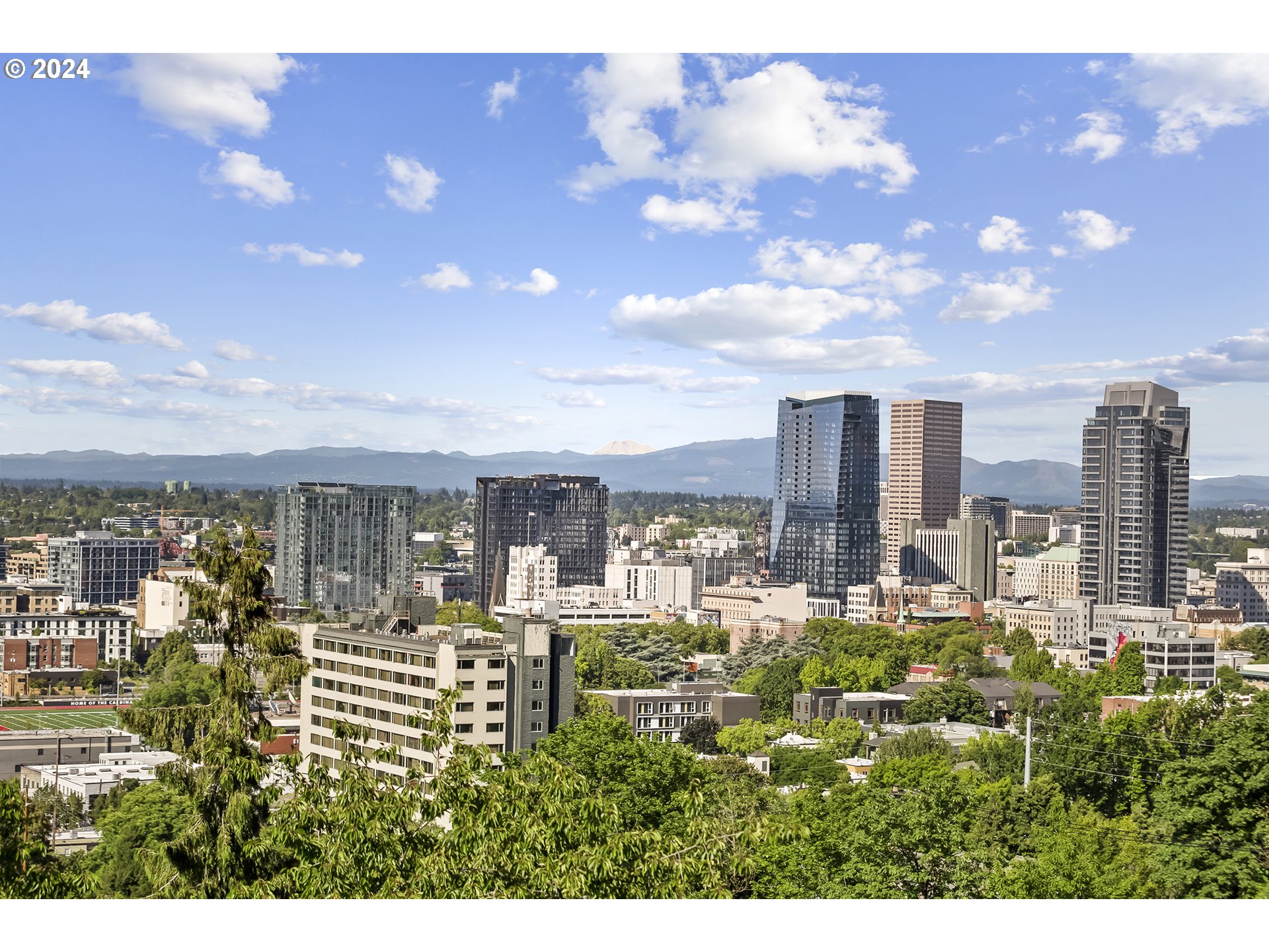 1673 SW MONTGOMERY Dr C