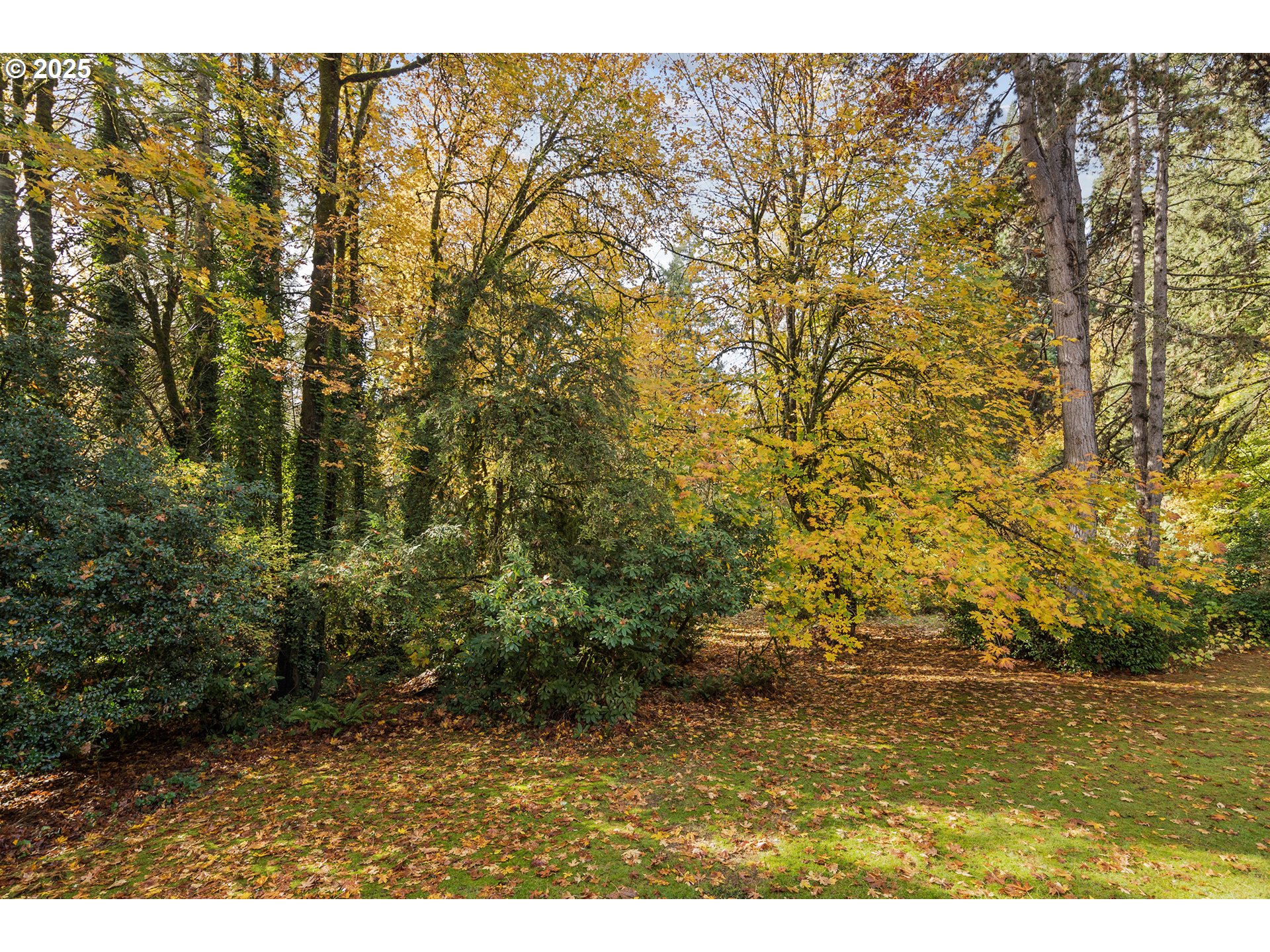 13248 S IRON MOUNTAIN BLVD