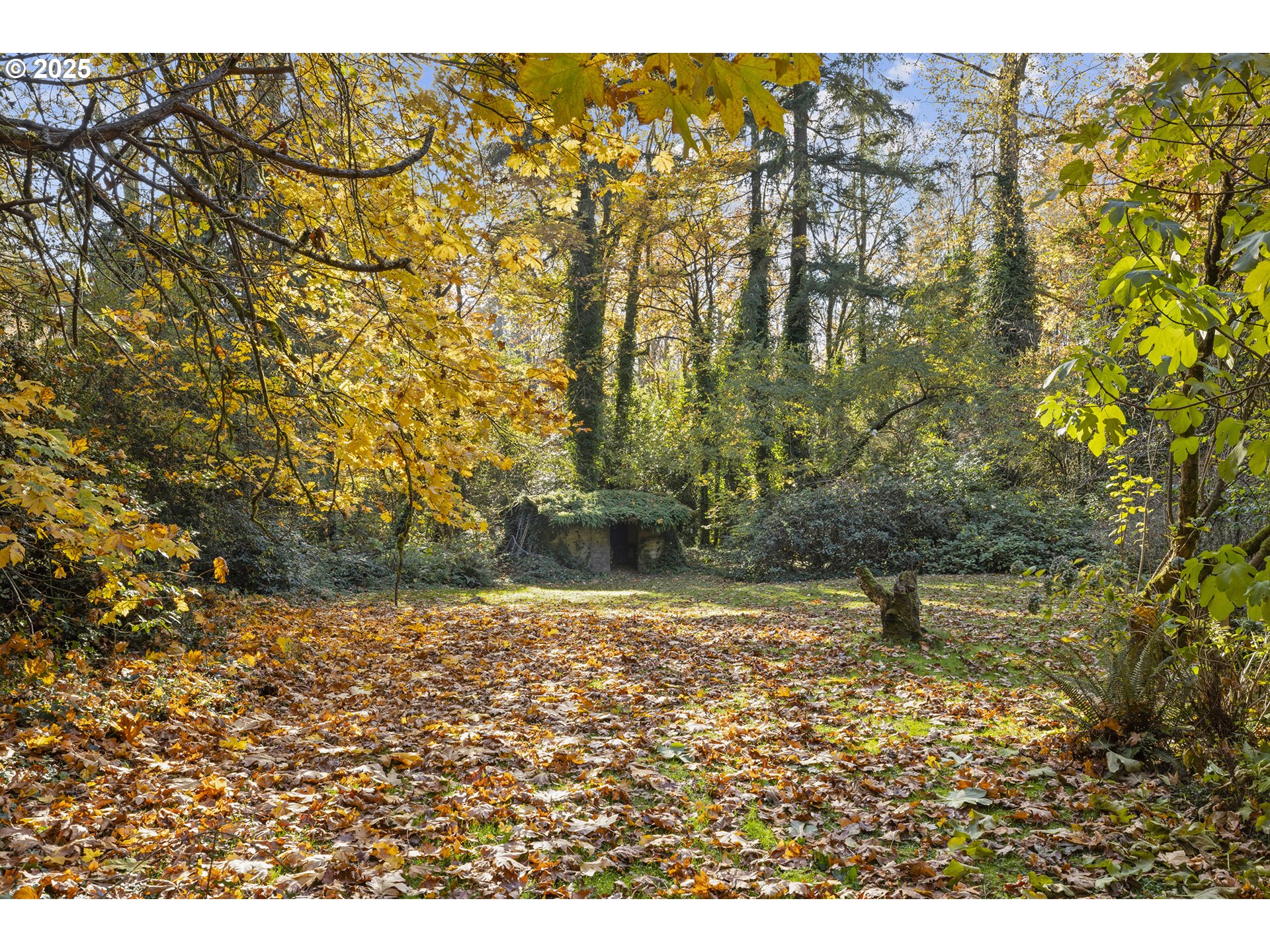 13248 S IRON MOUNTAIN BLVD