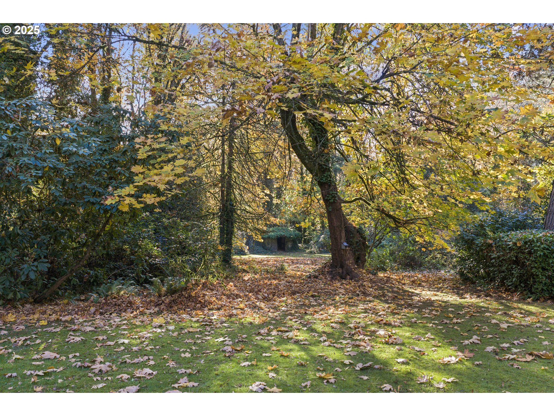 13248 S IRON MOUNTAIN BLVD