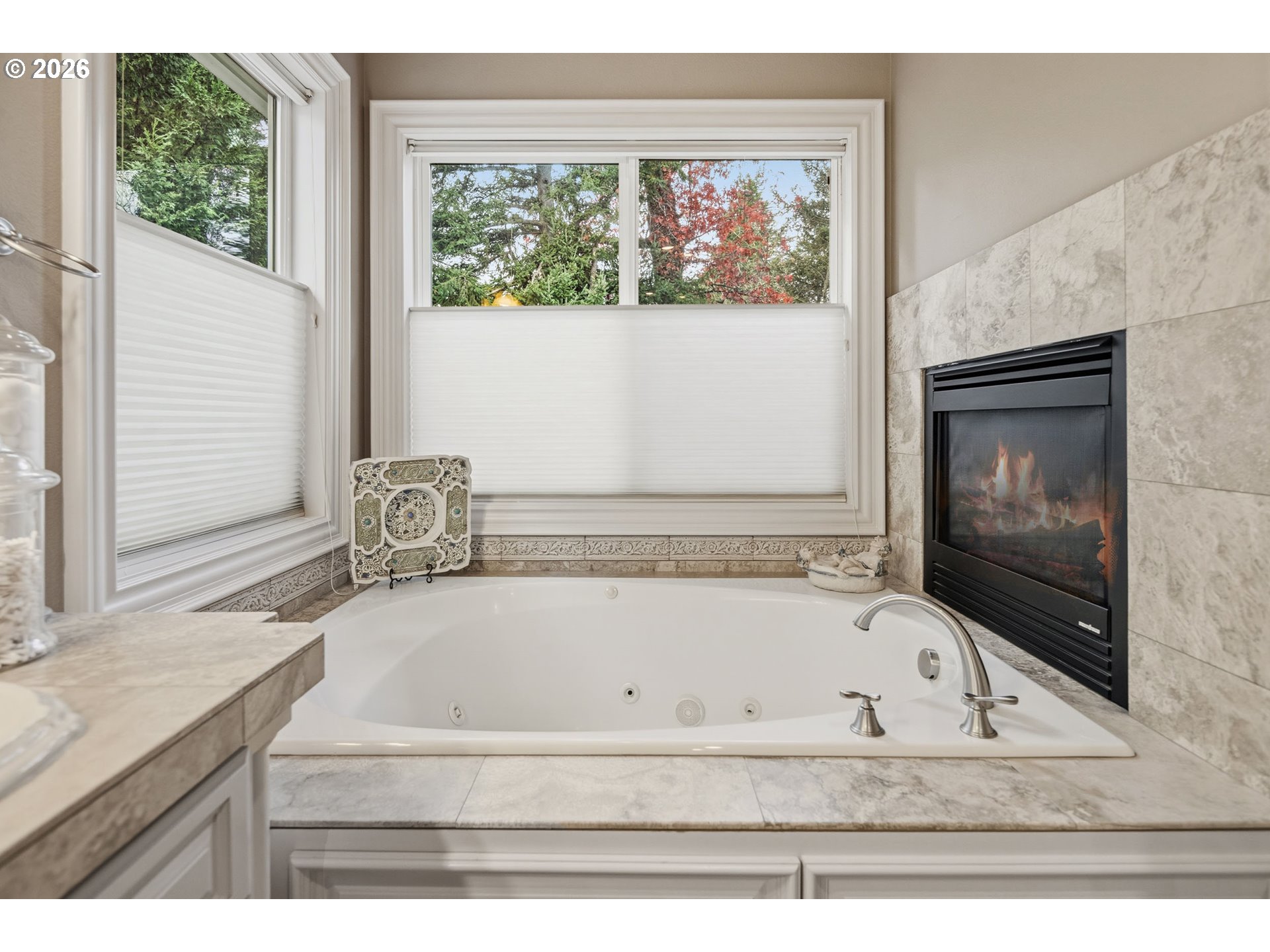 17367 BERGIS FARM DR