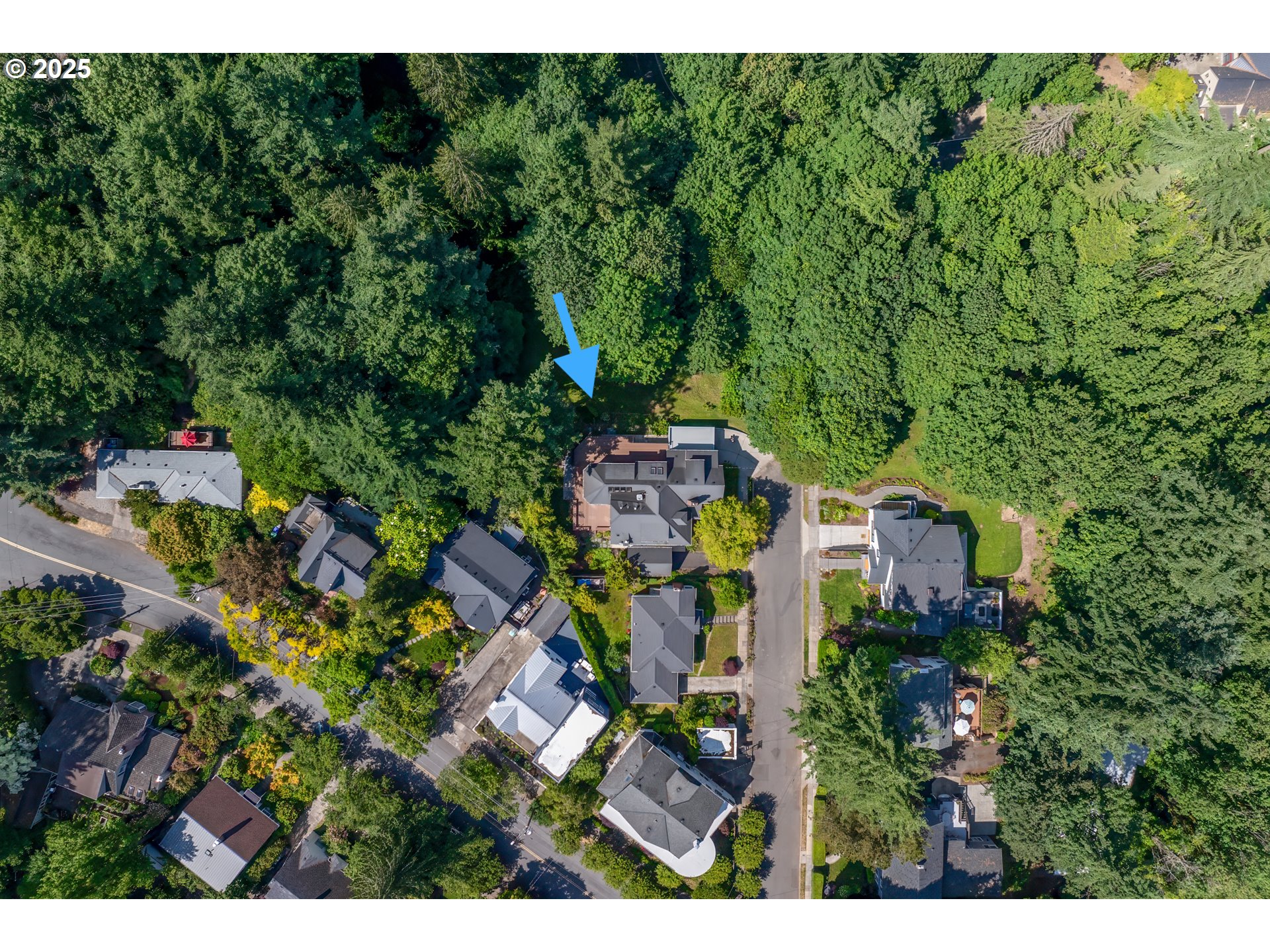 3505 SW BEAVERTON AVE