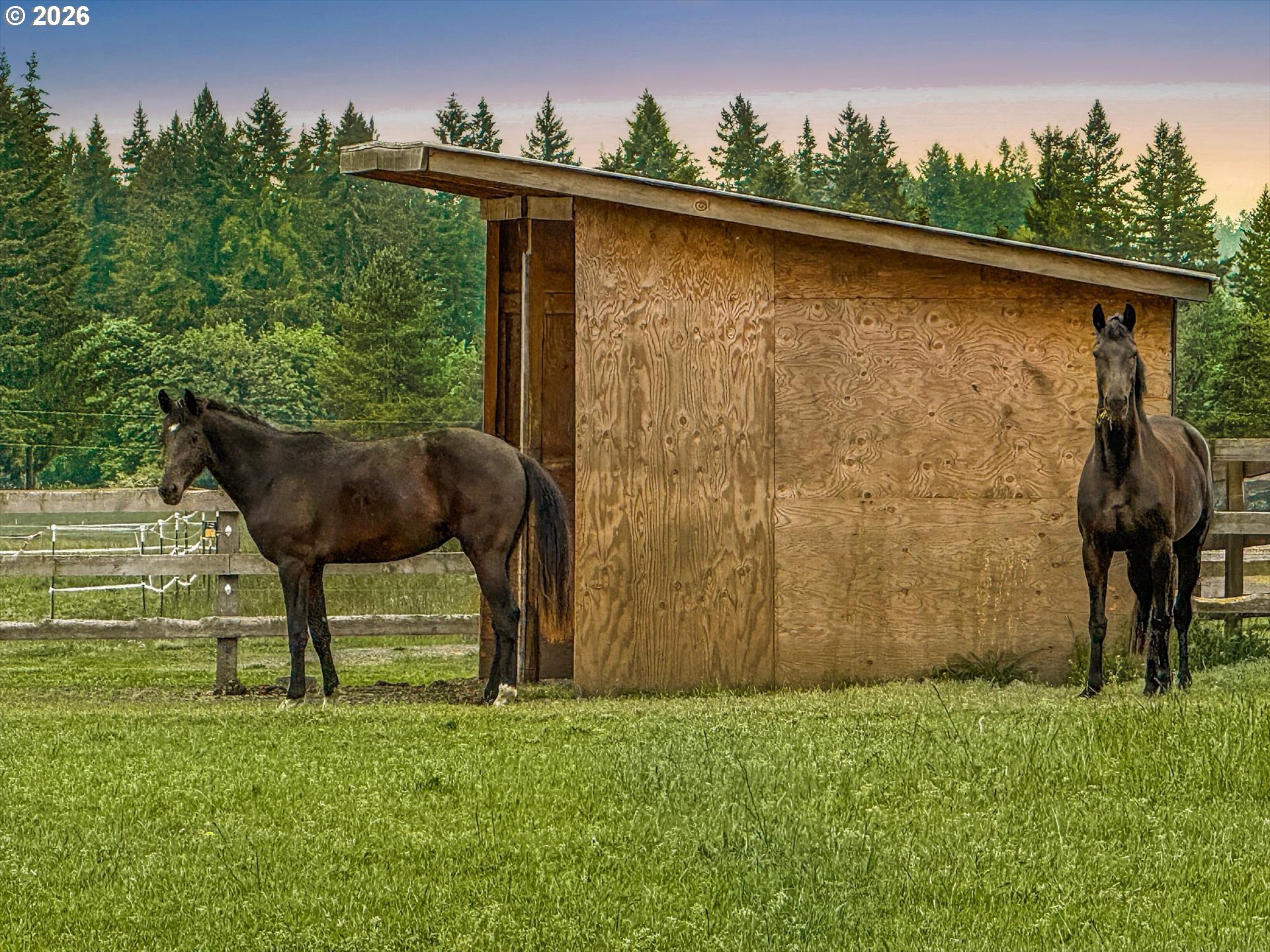 SW Homesteader