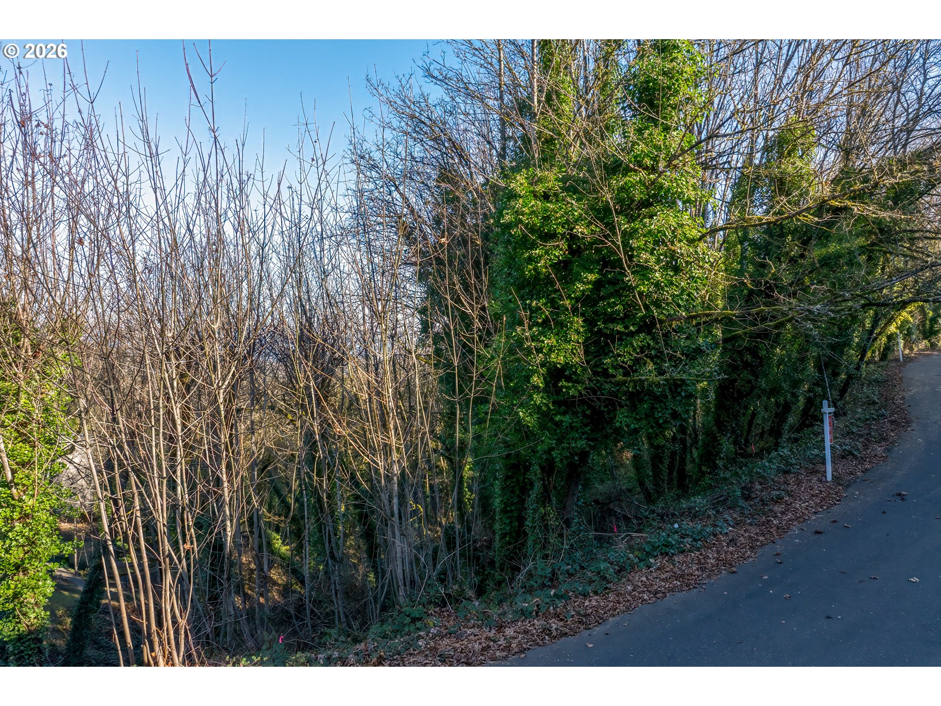 NW ROYAL - Lot 4 BLVD