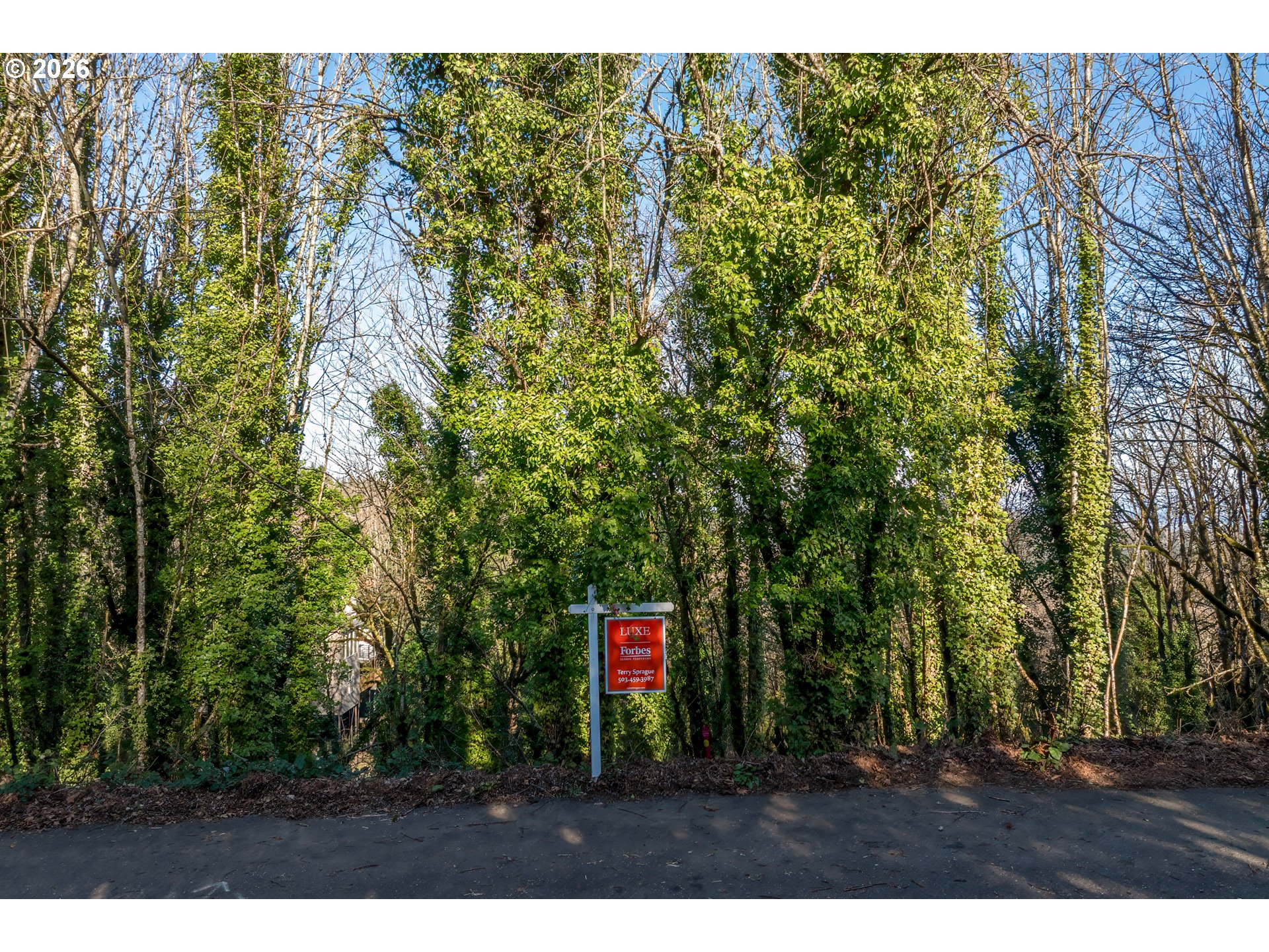 NW ROYAL - Lot 3 BLVD