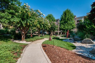 2600 Hillsboro Pike Unit: 243