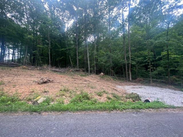0 Jones Creek Road Lot 1